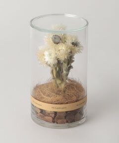 BEAUTY&YOUTH UNITED ARROWS / ビューティー&ユース ユナイテッドアローズ インテリア・インテリア雑貨 | ＜The Landscapers＞ DRY CYLINDER F/インテリア