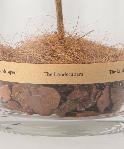 BEAUTY&YOUTH UNITED ARROWS / ビューティー&ユース ユナイテッドアローズ インテリア・インテリア雑貨 | ＜The Landscapers＞  DRY CYLINDER O/インテリア | 詳細5