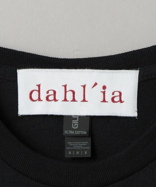 BEAUTY&YOUTH UNITED ARROWS / ビューティー&ユース ユナイテッドアローズ カットソー | ＜dahl'ia＞チェックスリーブ トップス | 詳細12