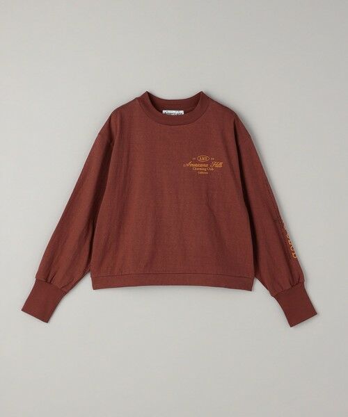 BEAUTY&YOUTH UNITED ARROWS / ビューティー&ユース ユナイテッドアローズ Tシャツ | 【別注】＜Americana＞ロゴ ロングスリーブ Tシャツ | 詳細12