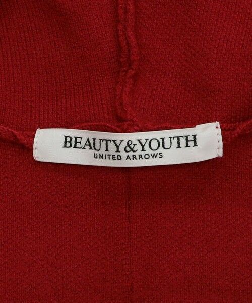 BEAUTY&YOUTH UNITED ARROWS / ビューティー&ユース ユナイテッドアローズ ニット・セーター | 【WEB限定】スポンディッシュニット フーディプルオーバー -ウォッシャブル- | 詳細25