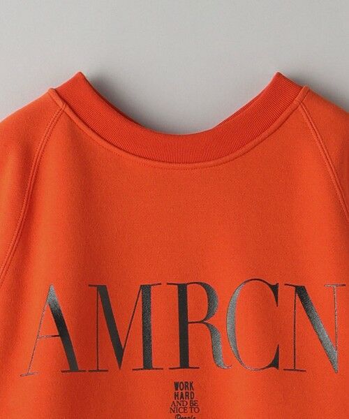 BEAUTY&YOUTH UNITED ARROWS / ビューティー&ユース ユナイテッドアローズ スウェット | ＜Americana＞バックジップ スウェット | 詳細10