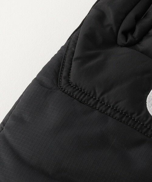 BEAUTY&YOUTH UNITED ARROWS / ビューティー&ユース ユナイテッドアローズ 手袋 | ＜THE NORTH FACE＞ヌプシ イーチップ グローブ | 詳細2