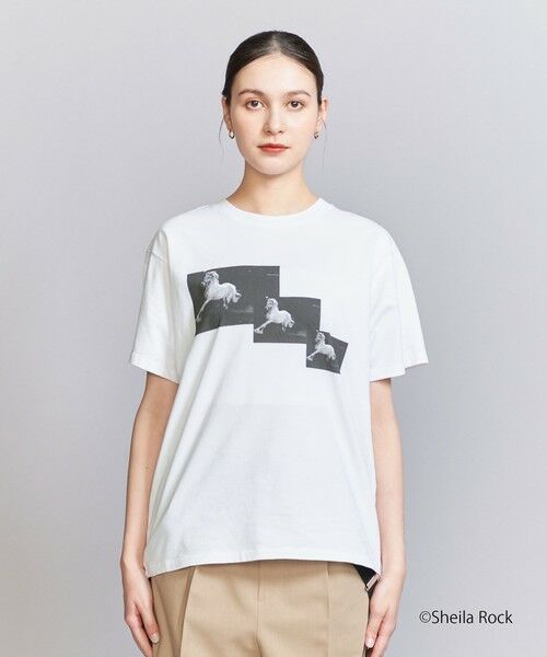 新品！6roku フォトプリント長袖Tシャツ フォトプリントロンT ロンT レディース トップス 長袖 綿・再