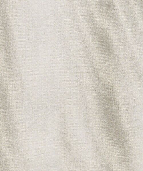 BEAUTY&YOUTH UNITED ARROWS / ビューティー&ユース ユナイテッドアローズ カットソー | 【WEB限定 WARDROBE SMART】クリア  ガスコットン モックネック カットソー【抗菌・防臭】 | 詳細23