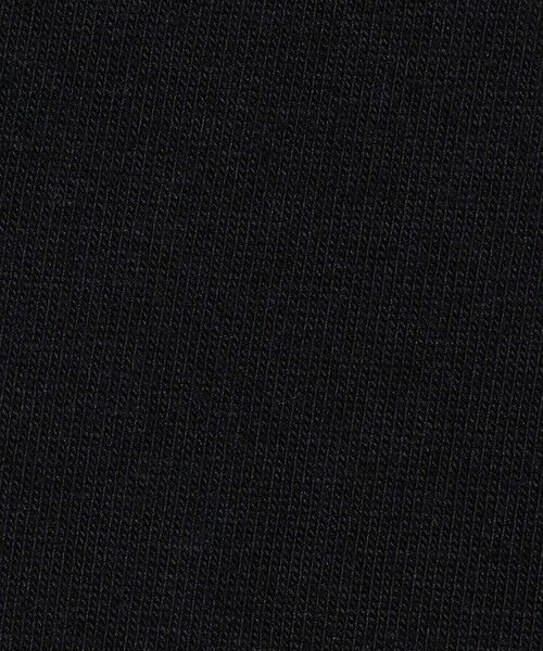 BEAUTY&YOUTH UNITED ARROWS / ビューティー&ユース ユナイテッドアローズ カットソー | 【別注】 ＜Hanes＞ ビーフィー Tシャツ | 詳細12