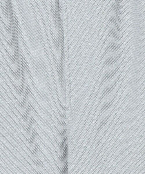BEAUTY&YOUTH UNITED ARROWS / ビューティー&ユース ユナイテッドアローズ ショート・ハーフ・半端丈パンツ | ＜LACOSTE for BEAUTY&YOUTH＞ 1トーン ショーツ | 詳細8