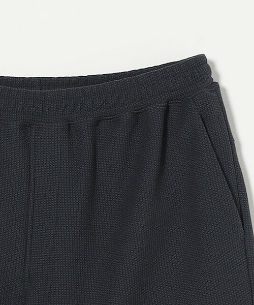 BEAUTY&YOUTH UNITED ARROWS / ビューティー&ユース ユナイテッドアローズ ショート・ハーフ・半端丈パンツ | ＜LACOSTE for BEAUTY&YOUTH＞ 1トーン ショーツ | 詳細11