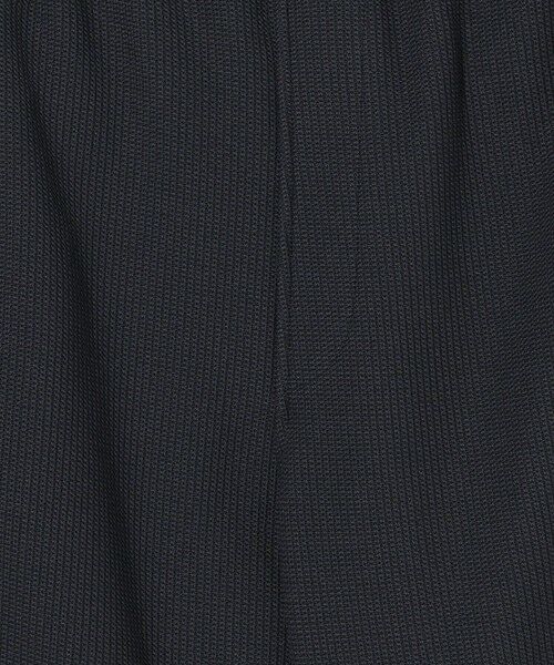 BEAUTY&YOUTH UNITED ARROWS / ビューティー&ユース ユナイテッドアローズ ショート・ハーフ・半端丈パンツ | ＜LACOSTE for BEAUTY&YOUTH＞ 1トーン ショーツ | 詳細13