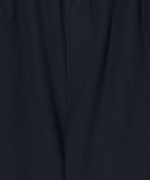 BEAUTY&YOUTH UNITED ARROWS / ビューティー&ユース ユナイテッドアローズ ショート・ハーフ・半端丈パンツ | ＜LACOSTE for BEAUTY&YOUTH＞ 1トーン ショーツ | 詳細17