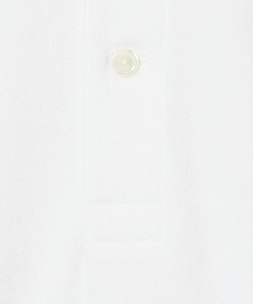 BEAUTY&YOUTH UNITED ARROWS / ビューティー&ユース ユナイテッドアローズ ポロシャツ | ＜LACOSTE for BEAUTY&YOUTH＞ 1トーン パイル ポロシャツ | 詳細4