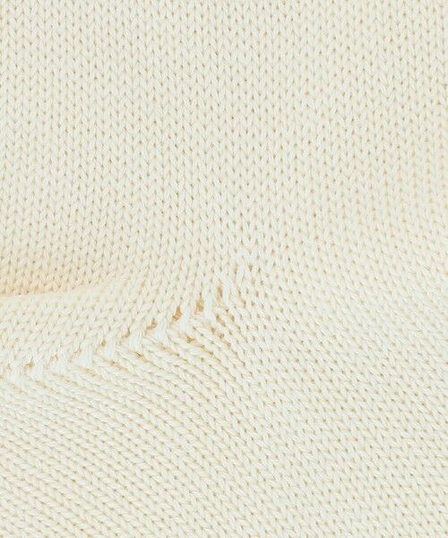 BEAUTY&YOUTH UNITED ARROWS / ビューティー&ユース ユナイテッドアローズ ソックス | 【一部別注】＜ROSTER SOX＞バックスター ソックス | 詳細3