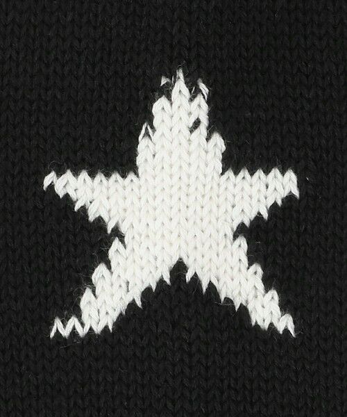 BEAUTY&YOUTH UNITED ARROWS / ビューティー&ユース ユナイテッドアローズ ソックス | 【一部別注】＜ROSTER SOX＞バックスター ソックス | 詳細8