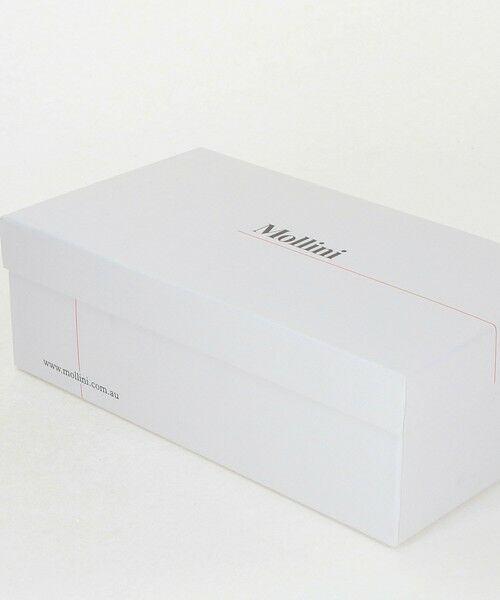 BEAUTY&YOUTH UNITED ARROWS / ビューティー&ユース ユナイテッドアローズ フラットシューズ | ＜mollini＞FLOLA メッシュ ローファー | 詳細12