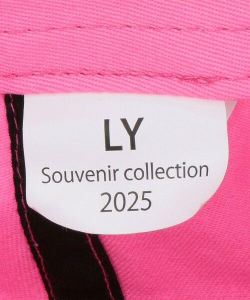 BEAUTY&YOUTH UNITED ARROWS / ビューティー&ユース ユナイテッドアローズ キャップ | ＜LY＞Garabato キャップ | 詳細15