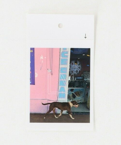 BEAUTY&YOUTH UNITED ARROWS / ビューティー&ユース ユナイテッドアローズ キャップ | ＜LY＞Garabato キャップ | 詳細18