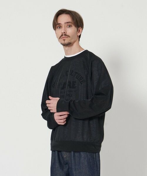 BEAUTY&YOUTH UNITED ARROWS / ビューティー&ユース ユナイテッドアローズ カットソー | 【WEB限定】シアー ラグラン スウェット | 詳細6