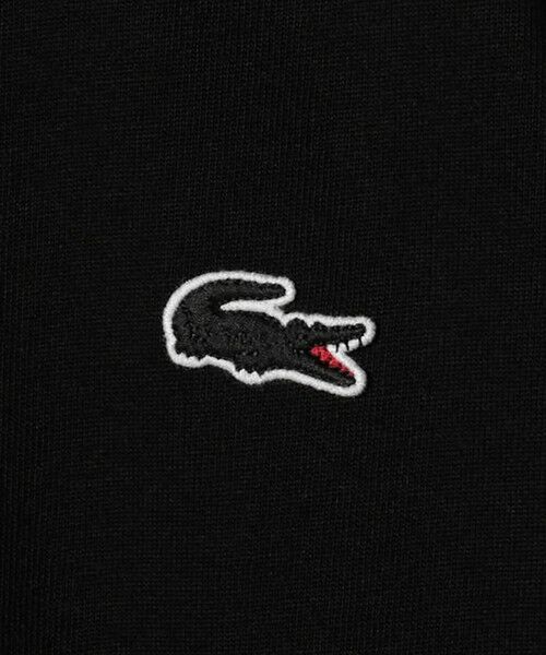 BEAUTY&YOUTH UNITED ARROWS / ビューティー&ユース ユナイテッドアローズ カットソー | ＜LACOSTE＞1ポイント ロングスリーブ Tシャツ | 詳細11
