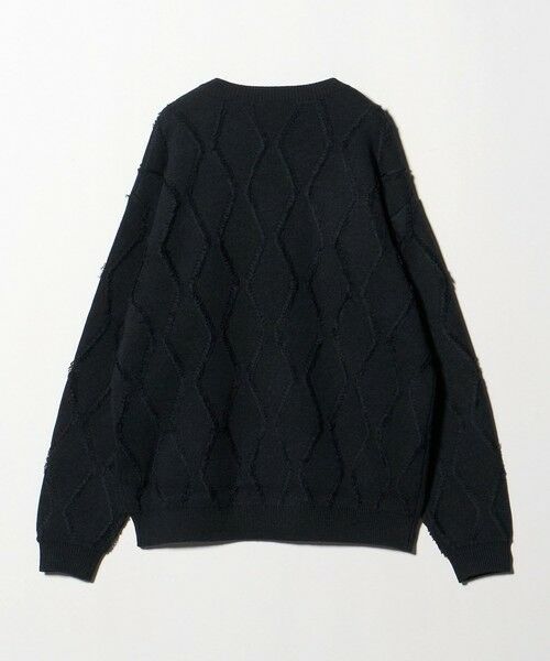 BEAUTY&YOUTH UNITED ARROWS / ビューティー&ユース ユナイテッドアローズ ニット・セーター | フリンジ パターン クルーネック ニット | 詳細13