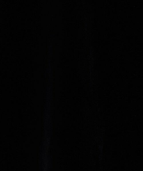 BEAUTY&YOUTH UNITED ARROWS / ビューティー&ユース ユナイテッドアローズ Tシャツ | ポリエステルブレンド ベロアロングスリーブ Tシャツ | 詳細15