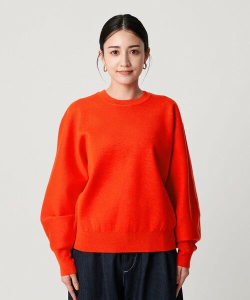 BEAUTY&YOUTH UNITED ARROWS / ビューティー&ユース ユナイテッドアローズ ニット・セーター | ポリエステルブレンド ミラノリブ プルオーバー | 詳細24