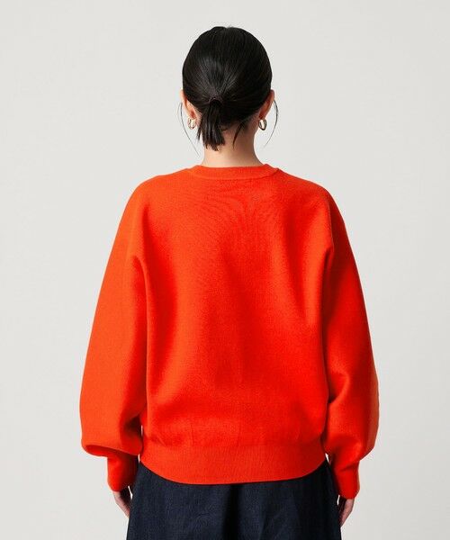 BEAUTY&YOUTH UNITED ARROWS / ビューティー&ユース ユナイテッドアローズ ニット・セーター | ポリエステルブレンド ミラノリブ プルオーバー | 詳細26