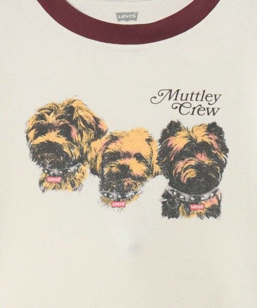 BEAUTY&YOUTH UNITED ARROWS / ビューティー&ユース ユナイテッドアローズ カットソー | 【国内EXCLUSIVE】＜Levi's＞SPORTY Tシャツ | 詳細12