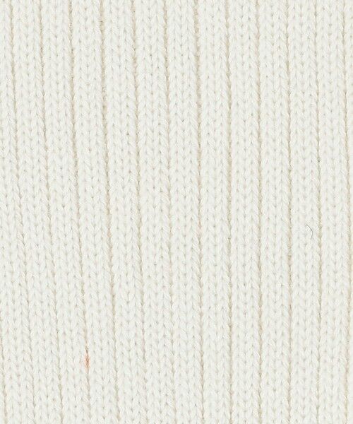 BEAUTY&YOUTH UNITED ARROWS / ビューティー&ユース ユナイテッドアローズ ソックス | カラー リブ ソックス | 詳細1