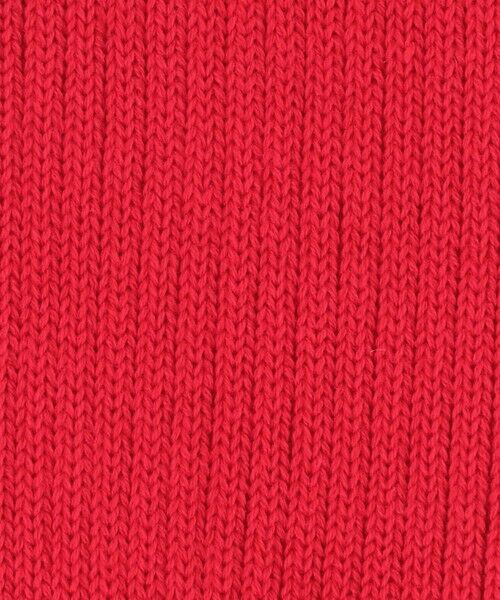 BEAUTY&YOUTH UNITED ARROWS / ビューティー&ユース ユナイテッドアローズ ソックス | カラー リブ ソックス | 詳細3