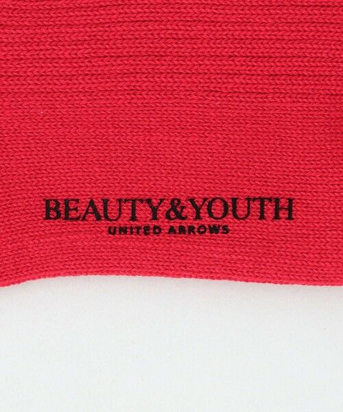 BEAUTY&YOUTH UNITED ARROWS / ビューティー&ユース ユナイテッドアローズ ソックス | カラー リブ ソックス | 詳細4