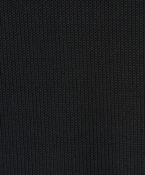 BEAUTY&YOUTH UNITED ARROWS / ビューティー&ユース ユナイテッドアローズ カットソー | ＜LACOSTE for BEAUTY&YOUTH＞ワントーン ロングスリーブ Tシャツ | 詳細14