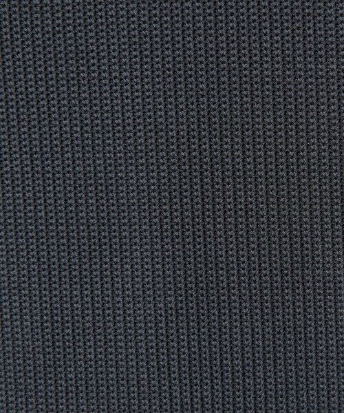 BEAUTY&YOUTH UNITED ARROWS / ビューティー&ユース ユナイテッドアローズ カットソー | ＜LACOSTE for BEAUTY&YOUTH＞ワントーン ロングスリーブ Tシャツ | 詳細22