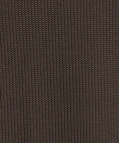 BEAUTY&YOUTH UNITED ARROWS / ビューティー&ユース ユナイテッドアローズ カットソー | ＜LACOSTE for BEAUTY&YOUTH＞ワントーン ロングスリーブ Tシャツ | 詳細28