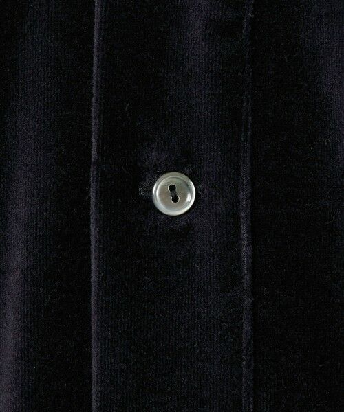 BEAUTY&YOUTH UNITED ARROWS / ビューティー&ユース ユナイテッドアローズ カットソー | ＜LACOSTE for BEAUTY&YOUTH＞ ベロア ポロシャツ | 詳細11