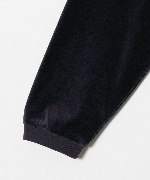 BEAUTY&YOUTH UNITED ARROWS / ビューティー&ユース ユナイテッドアローズ カットソー | ＜LACOSTE for BEAUTY&YOUTH＞ ベロア ポロシャツ | 詳細13