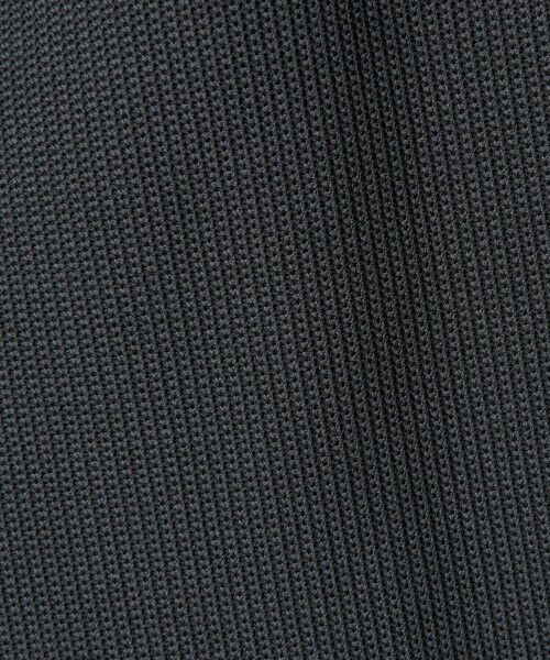 BEAUTY&YOUTH UNITED ARROWS / ビューティー&ユース ユナイテッドアローズ その他パンツ | ＜LACOSTE for BEAUTY&YOUTH＞ワントーン ロゴ パンツ | 詳細22