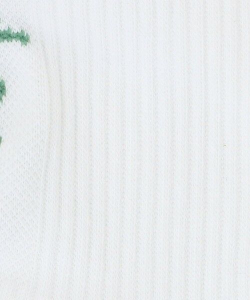 BEAUTY&YOUTH UNITED ARROWS / ビューティー&ユース ユナイテッドアローズ ソックス | フリーダム スタンダード ロゴ ソックス | 詳細1