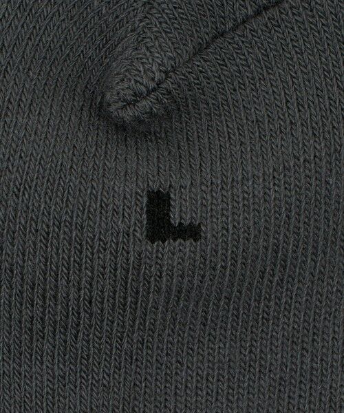 BEAUTY&YOUTH UNITED ARROWS / ビューティー&ユース ユナイテッドアローズ ソックス | リブ レギュラー ソックス | 詳細8