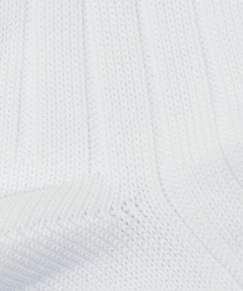 BEAUTY&YOUTH UNITED ARROWS / ビューティー&ユース ユナイテッドアローズ ソックス | シルケット リブ レギュラー ソックス | 詳細1