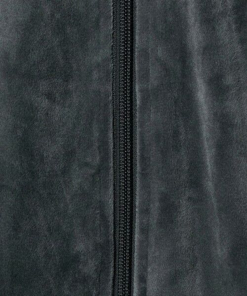 BEAUTY&YOUTH UNITED ARROWS / ビューティー&ユース ユナイテッドアローズ その他トップス | ＜adidas Originals＞ファイヤーバード ベロアトラックトップ | 詳細14