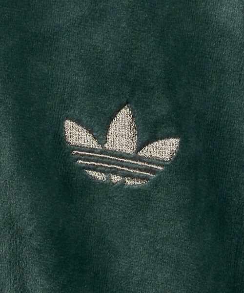 BEAUTY&YOUTH UNITED ARROWS / ビューティー&ユース ユナイテッドアローズ その他トップス | ＜adidas Originals＞ファイヤーバード ベロアトラックトップ | 詳細29
