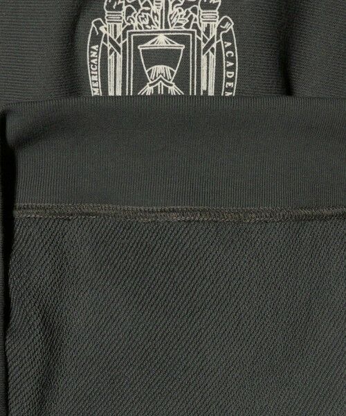 BEAUTY&YOUTH UNITED ARROWS / ビューティー&ユース ユナイテッドアローズ スウェット | ＜Americana＞ロゴスウェット プルオーバー | 詳細20