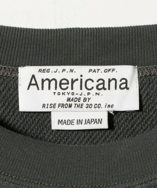 BEAUTY&YOUTH UNITED ARROWS / ビューティー&ユース ユナイテッドアローズ スウェット | ＜Americana＞ロゴスウェット プルオーバー | 詳細22