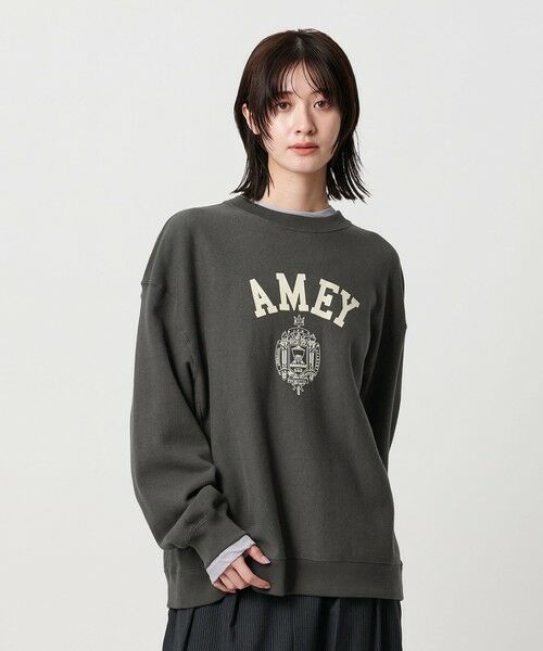 BEAUTY&YOUTH UNITED ARROWS / ビューティー&ユース ユナイテッドアローズ スウェット | ＜Americana＞ロゴスウェット プルオーバー | 詳細12