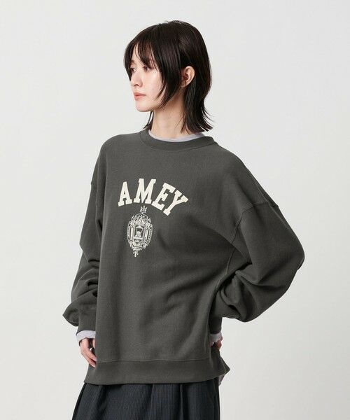 BEAUTY&YOUTH UNITED ARROWS / ビューティー&ユース ユナイテッドアローズ スウェット | ＜Americana＞ロゴスウェット プルオーバー | 詳細13