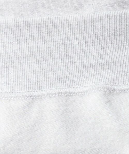 BEAUTY&YOUTH UNITED ARROWS / ビューティー&ユース ユナイテッドアローズ カットソー | SNAZZY ハーフジップ スウェット | 詳細19