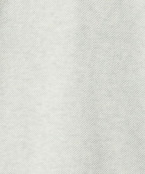 BEAUTY&YOUTH UNITED ARROWS / ビューティー&ユース ユナイテッドアローズ ニット・セーター | ＜LACOSTE for BEAUTY&YOUTH＞クルーネック スウェット | 詳細8