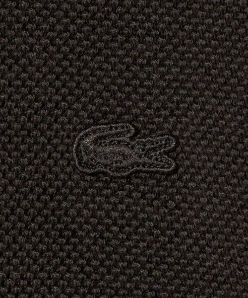 BEAUTY&YOUTH UNITED ARROWS / ビューティー&ユース ユナイテッドアローズ ニット・セーター | ＜LACOSTE for BEAUTY&YOUTH＞クルーネック スウェット | 詳細12