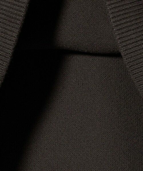 BEAUTY&YOUTH UNITED ARROWS / ビューティー&ユース ユナイテッドアローズ ニット・セーター | ＜LACOSTE for BEAUTY&YOUTH＞クルーネック スウェット | 詳細13