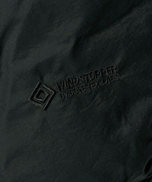 BEAUTY&YOUTH UNITED ARROWS / ビューティー&ユース ユナイテッドアローズ ダウンジャケット・ベスト | ＜THE NORTH FACE＞オルタレーション シエラ ジャケット | 詳細16